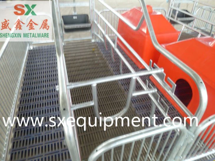 Pig Farrowing Crate
