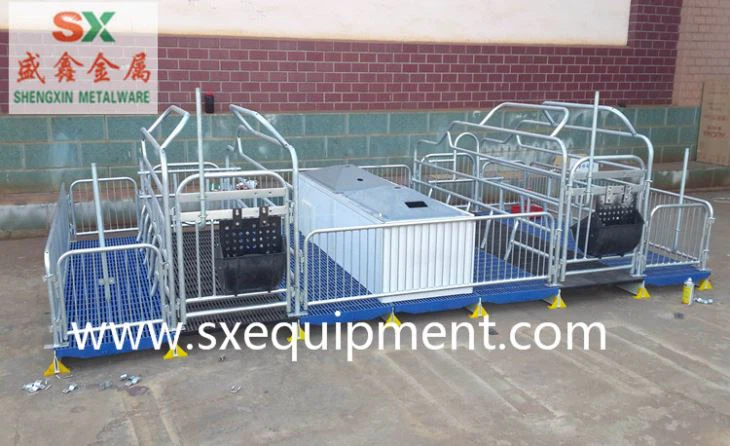 Pig Farrowing Crate